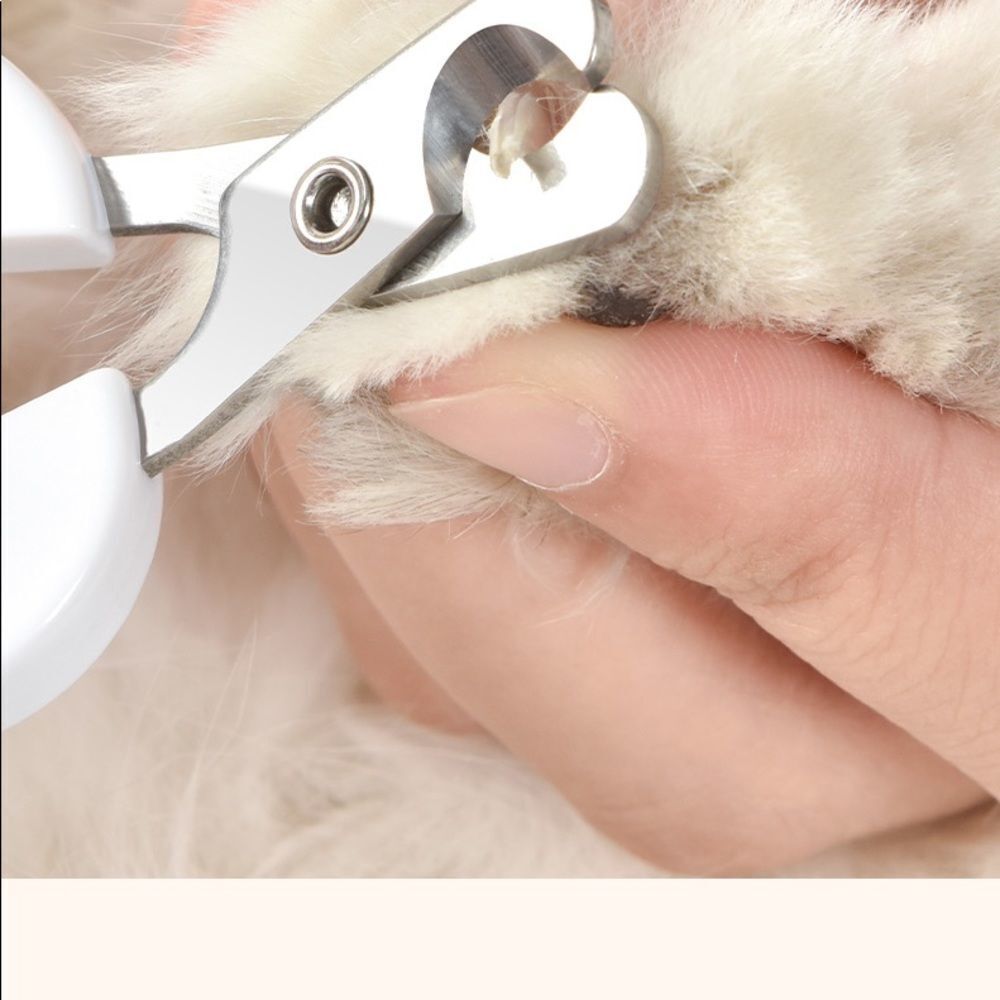 ‼️CLOSEOUT‼️Modern Small Pet Nail Clipper - Picture 8 of 13